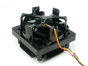 酷冷至尊黑鹰战机静音版散热器 高效散热与静音设计的完美结合