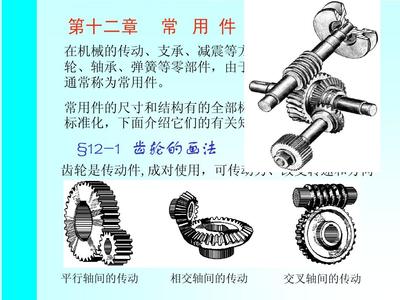 第12章 画法几何及机械制图——传动件